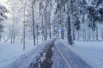 Obraz premium Long road for walking in the winter park.