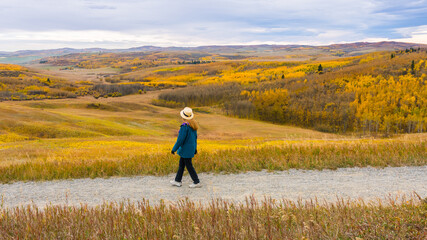 Woman traveler walking on a trail looking at beautiful autumn color forest valley. Rural Alberta prairie field landscape wallpaper - obrazy, fototapety, plakaty