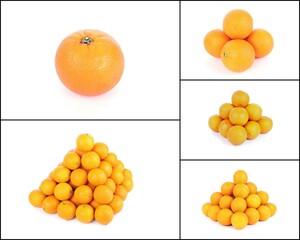 Orangen-Collage