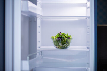 Salad in a transparent bowl in the refrigerator. Food for vegetarians. Set of different salads. Proper nutrition. Assorted salad in the fridge. Vegetarianism concept. Empty fridge with only greens. 