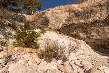 beautiful landscape on the sea mountains with trees