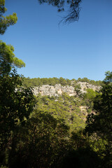 beautiful landscape on the sea mountains with trees