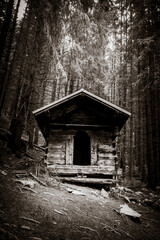 Fototapeta na wymiar Small wooden cabin in a dark fir forest. Black and white