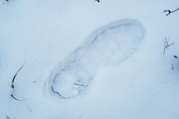 Footprint in the snow. Bigfoot footprint.