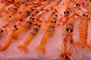 Norway lobster (Nephrops norvegicus) crustaceans in a market in Valencia Spain