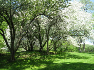 Spring in New England Collection