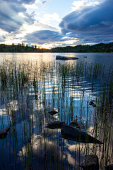 Mountain lake with grass and reflections of the clouds. Sunset