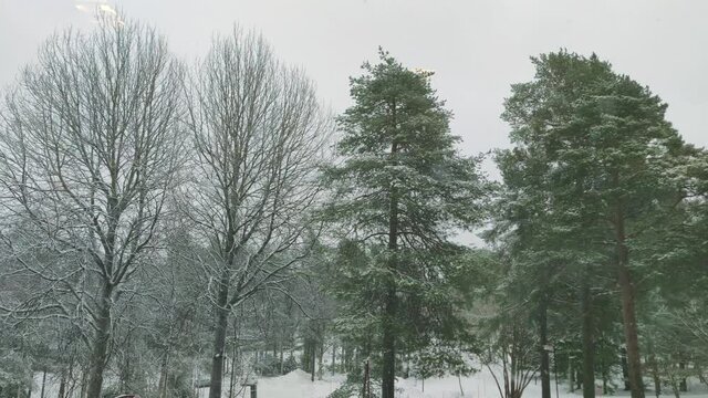 Tranquil snowfall in 4K video in the community ground with branched trees around during the Winter. Cloudy day Outdoor background copy space.