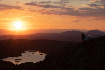 A Papillon dog looks at the sunset across a lake, on the top of a mountain