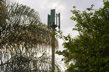 Cell phone tower in between nature. A picture showing technology amongst nature. 