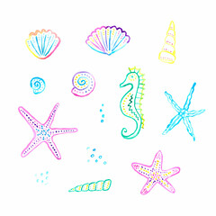 Set of sea shells and starfish, watercolor