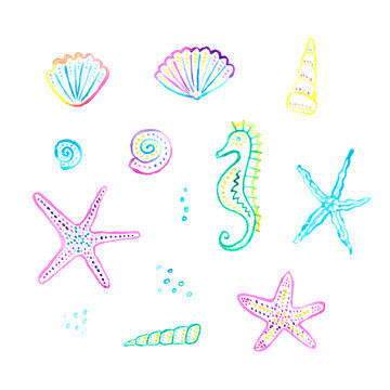 Set of sea shells and starfish, watercolor