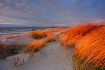 Wydmy na wybrzeżu Morza Bałtyckiego, w świetle zachodzącego słońca