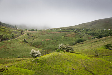 landscape with hills