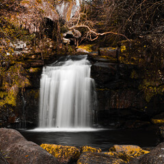 Fototapeta na wymiar Scenic View Of Waterfall In Forest Long Exposure - In Falling Foss Forest
