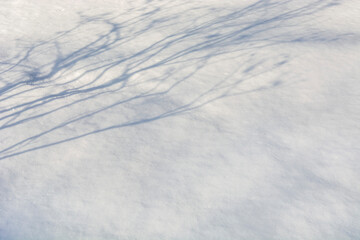 texture of snow