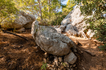big stones in the summer forest
