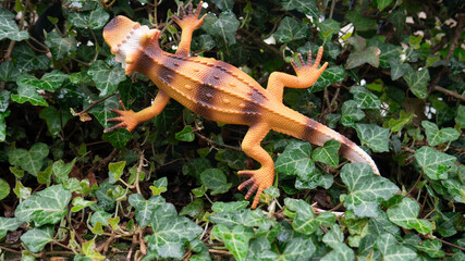 Obraz premium Orange plastic lizard toy in nature.