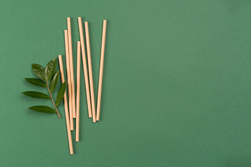 Banner with mockup image of kraft paper drinking straws on green background with copy space and green fresh leaves around. Sustainable lifestyle and zero waste concept. Ethical consumerism