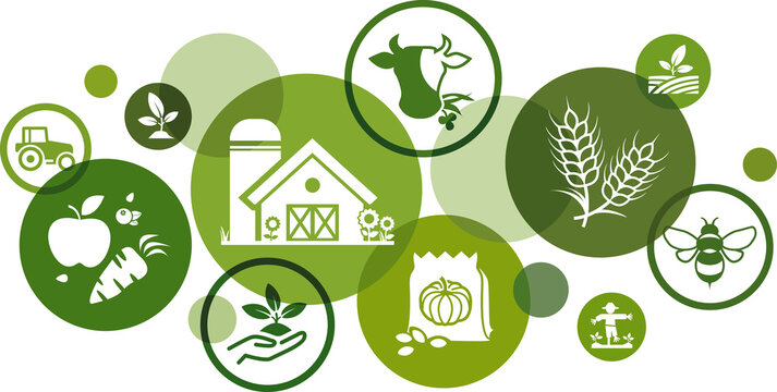 Farming / agriculture vector illustration. Green concept with icons related to agricultural industry, farm business infographic, harvesting & cultivation of crops & farmland, sustainable agriculture.