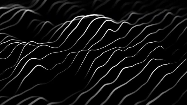White stripes on a black background. Wave loop animation. 4k