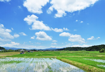 青空と田園地帯（滋賀県）