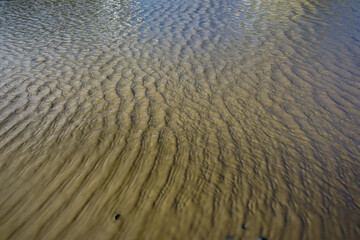 Waves on a big puddle