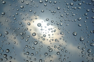 Many drops on the window