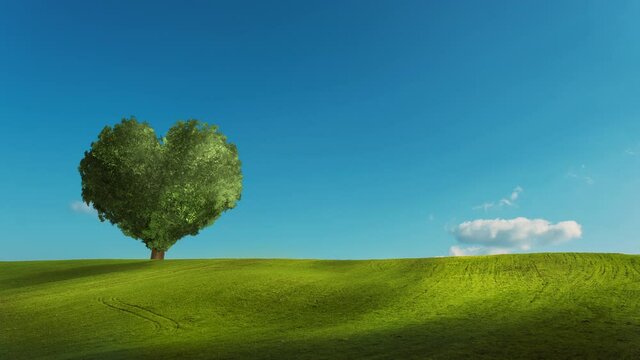 Pulsating Footage of Meadow and sky background with a pulsating heart shaped tree at an agricultural field