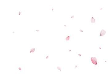 Sakura petals holiday background. Holiday vector
