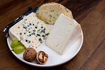 French cheeses, blue sheep cheese roquefort and Delice de Bourgogne cow's milk cheese from Burgundy