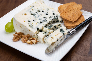 Tastig of French king of cheeses, sheep milk blue cheese roquefort from Southern France,