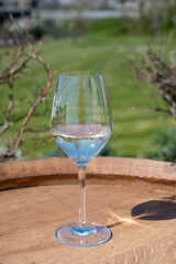 Wine production in Netherlands, white wine tasting glass close up