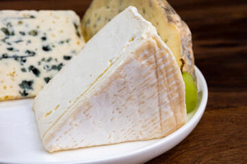 French cheeses, blue sheep cheese roquefort and Delice de Bourgogne cow's milk cheese from Burgundy