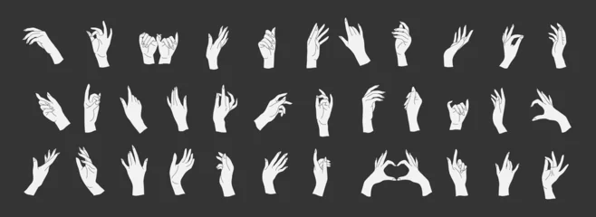 Fotobehang Set of Vector female beauty hands silhouette. Editable outline stroke size. Line flat contour, thin and linear design. Simple icons. Concept illustration. © merfin