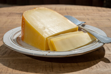 Cheese collection, piece of young Dutch gouda cheese made from cow milk in Netherlands