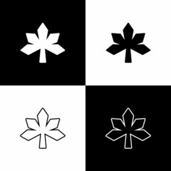 Obraz premium Set Chestnut leaf icon isolated on black and white background. Vector