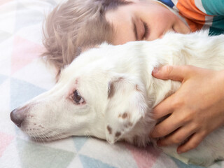 A teenage boy with a dog. Concept of love for pets, relaxation, family