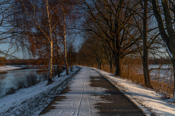 Asphalt path for bikes near Ceske Budejovice city in winter snowy morning