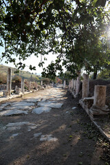 Fototapeta na wymiar street with the marble stone pavement surrounded by columns in ancient city Ephesus, Turkey