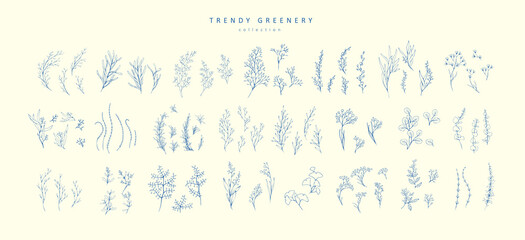 Trendy floral branch and minimalist flowers for logo or decorations. Hand drawn line wedding herb, elegant leaves for invitation save the date card. Botanical rustic trendy greenery © merfin