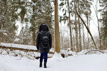 Fototapeta na wymiar Lonely woman walking in winter forest looking at snow covered pine trees. Nature after snowfall, leisure and travel at cold weather