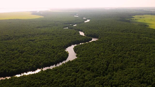 Beautiful river and field, Kolkheti National Park