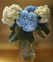 Blue and white hydrangea flower bouquet in vase