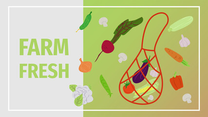 Design of a web banner with fresh farm vegetables. Vector illustration, flyer, business card, leaflet, poster.