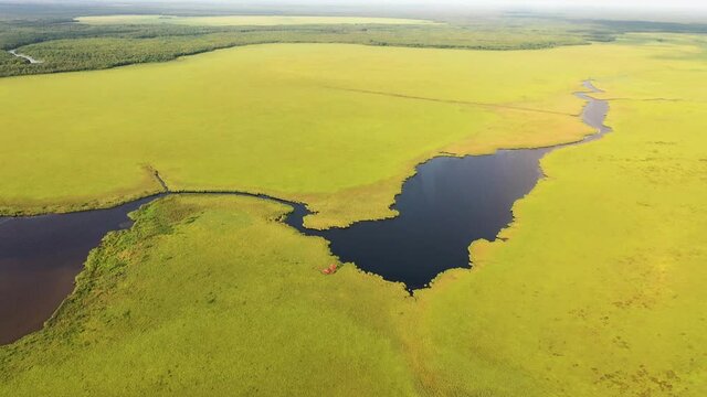 Beautiful river and field, Kolkheti National Park. Georgia