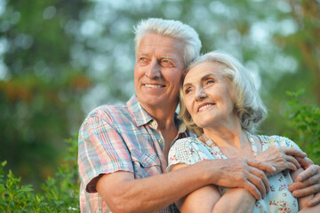 Beautiful senior couple hugging in the summer park
