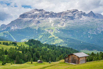 Fototapeta na wymiar Pralongia Plateau in the Dolomites