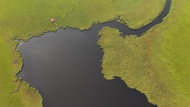 Beautiful drone shot in Kolkheti National Park, river, birds and beautiful nature, Georgia