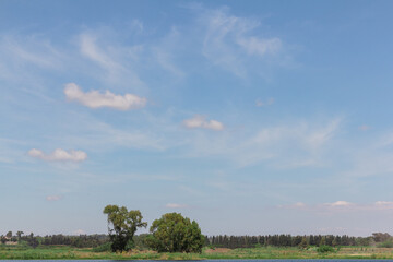 beautiful clouds in the blue sky above the forest